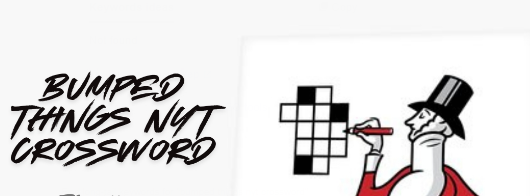 bumped things nyt crossword